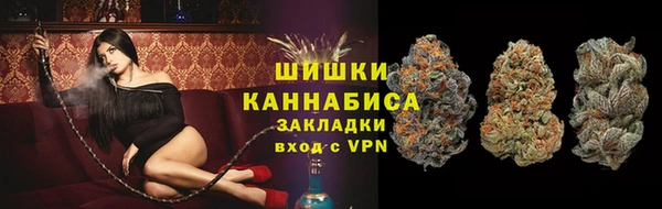 spice Бородино