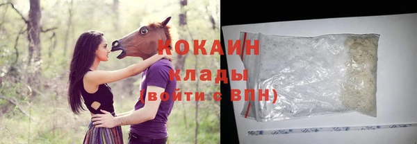 spice Бородино