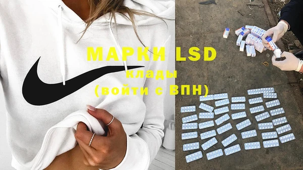 spice Бородино