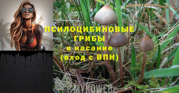spice Бородино