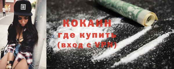 spice Бородино