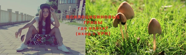 spice Бородино