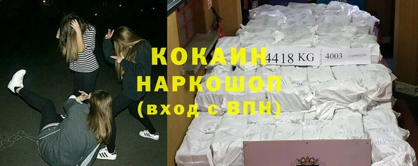 spice Бородино